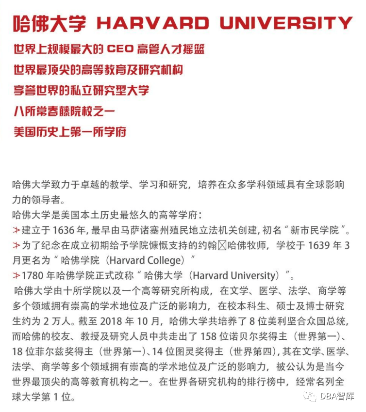 金斑马