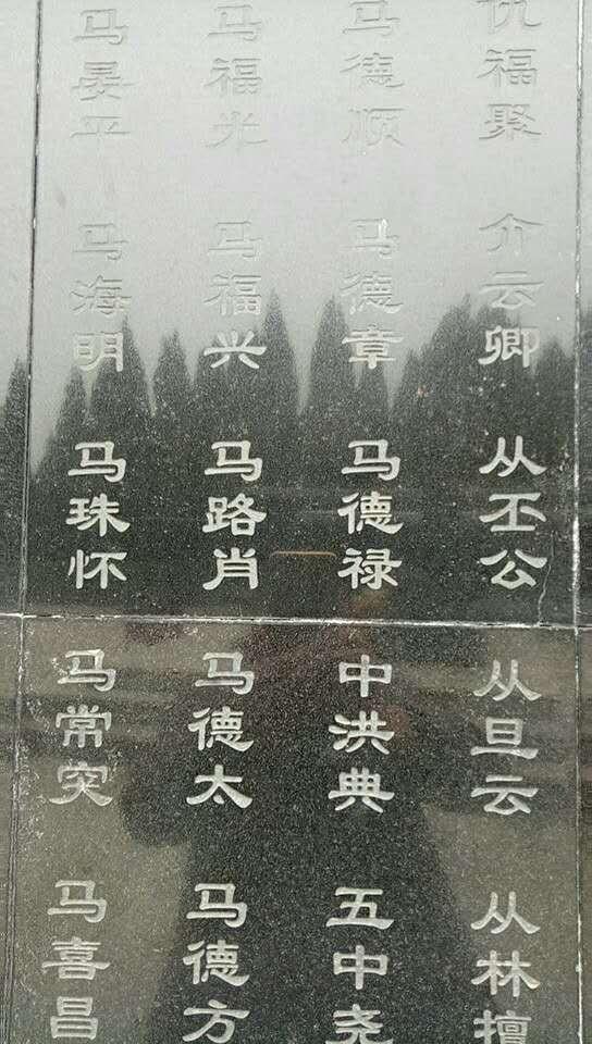 最新战役情况揭秘，自然美景探险之旅开启
