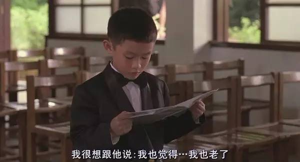 最新电影树，文化现象的深度探讨与解析